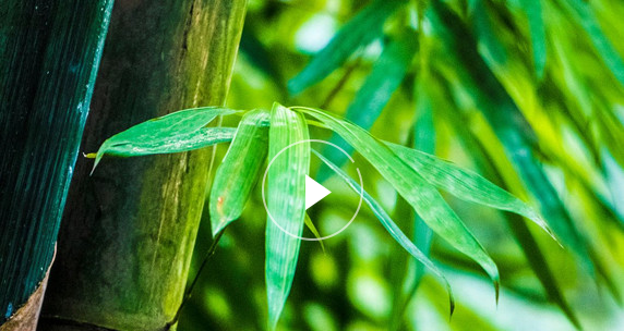 ��ϲ�g���������������?y��n)�����񣬱�? />
               	        </a>
                   	    <a class=